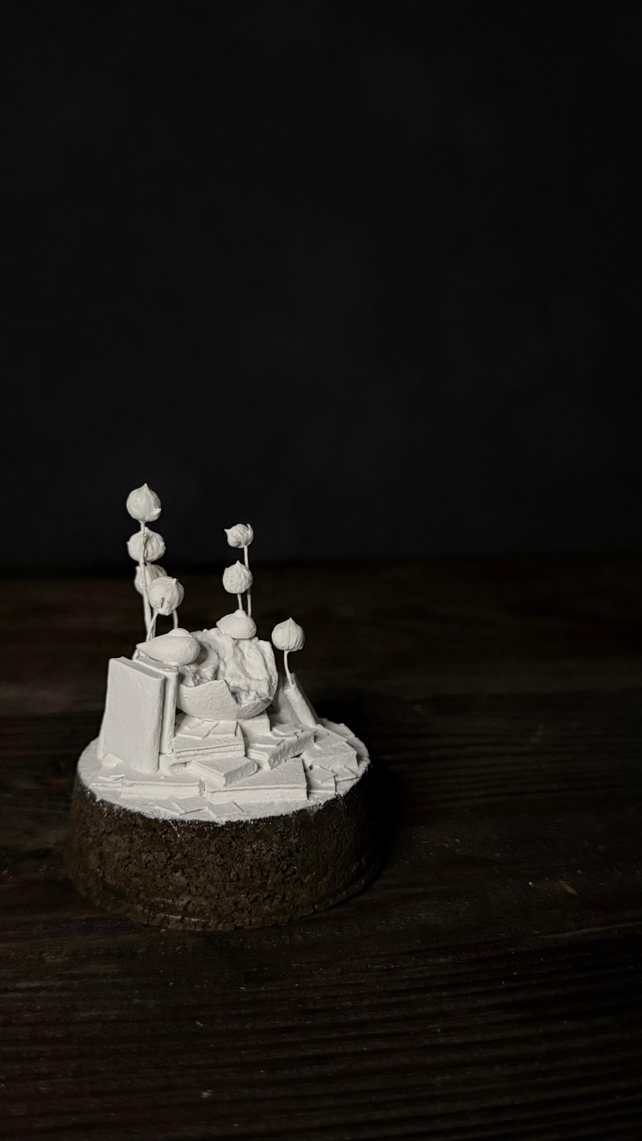 bird no.2 【Sculpture】 | 4枚目