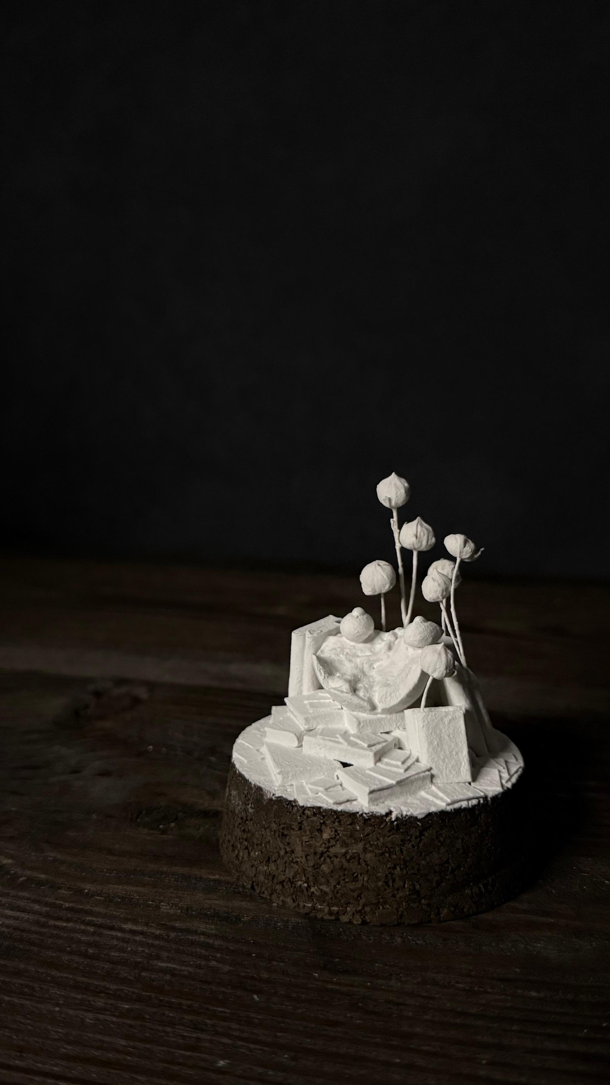 bird no.2 【Sculpture】 | 5枚目