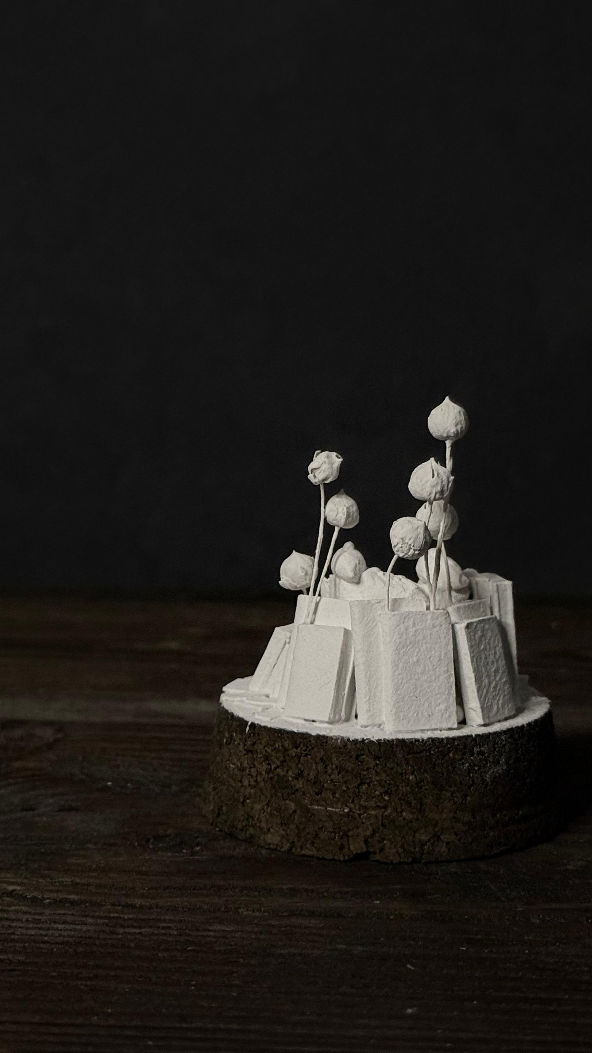 bird no.2 【Sculpture】 | 6枚目