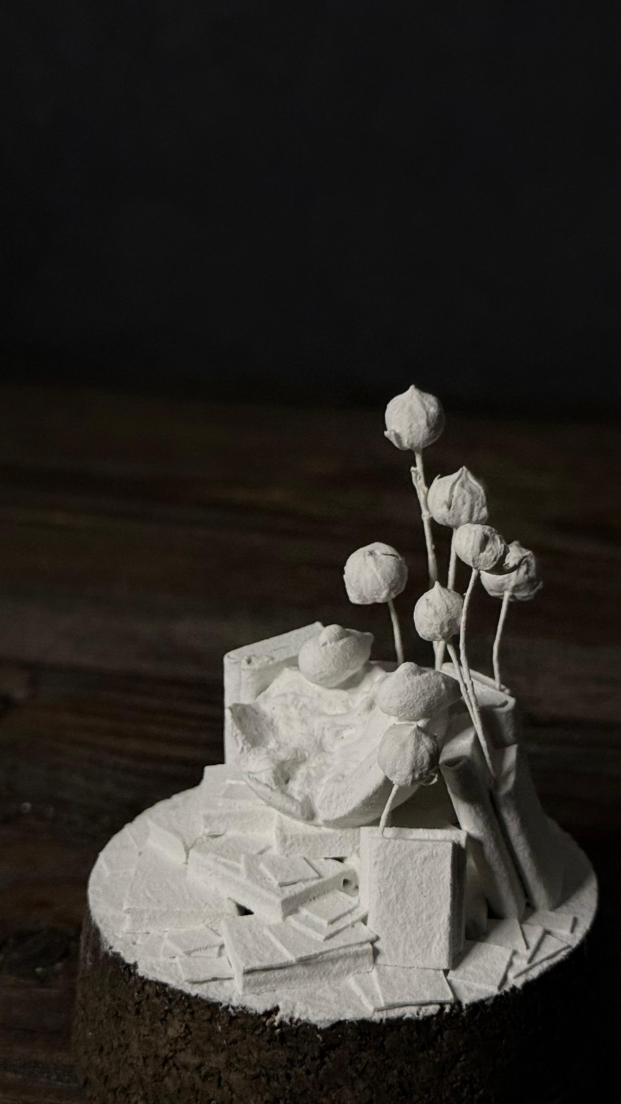 bird no.2 【Sculpture】 | 7枚目