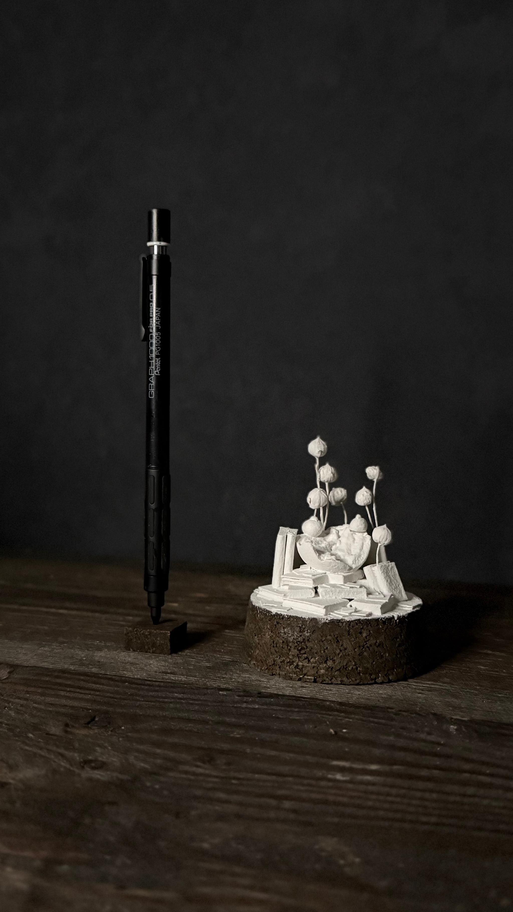 bird no.2 【Sculpture】 | 8枚目