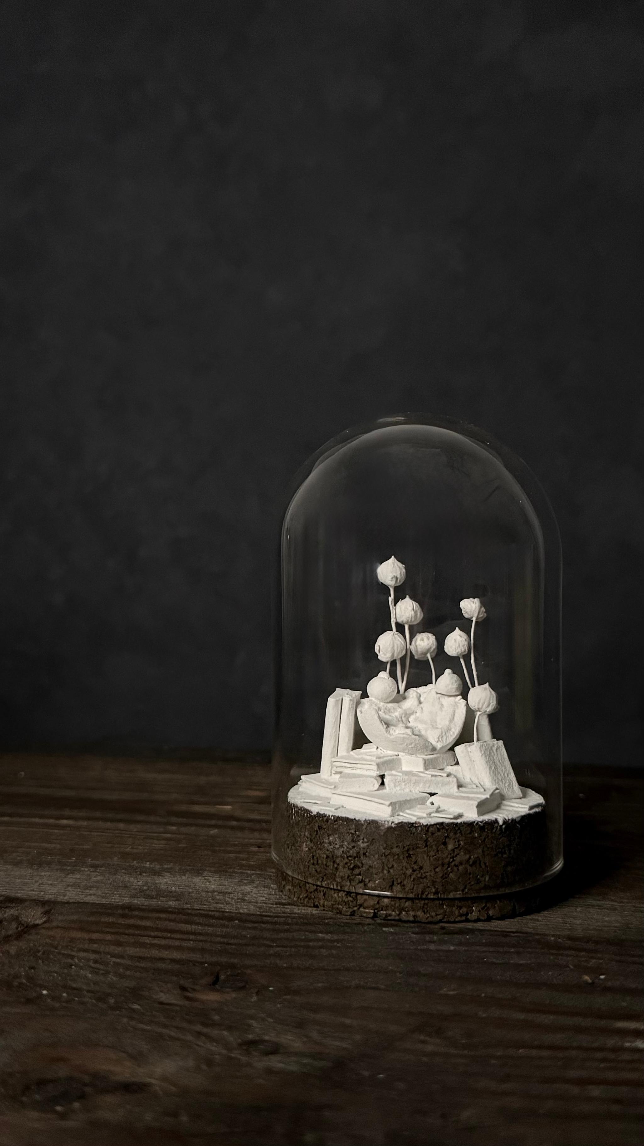 bird no.2 【Sculpture】 | 9枚目