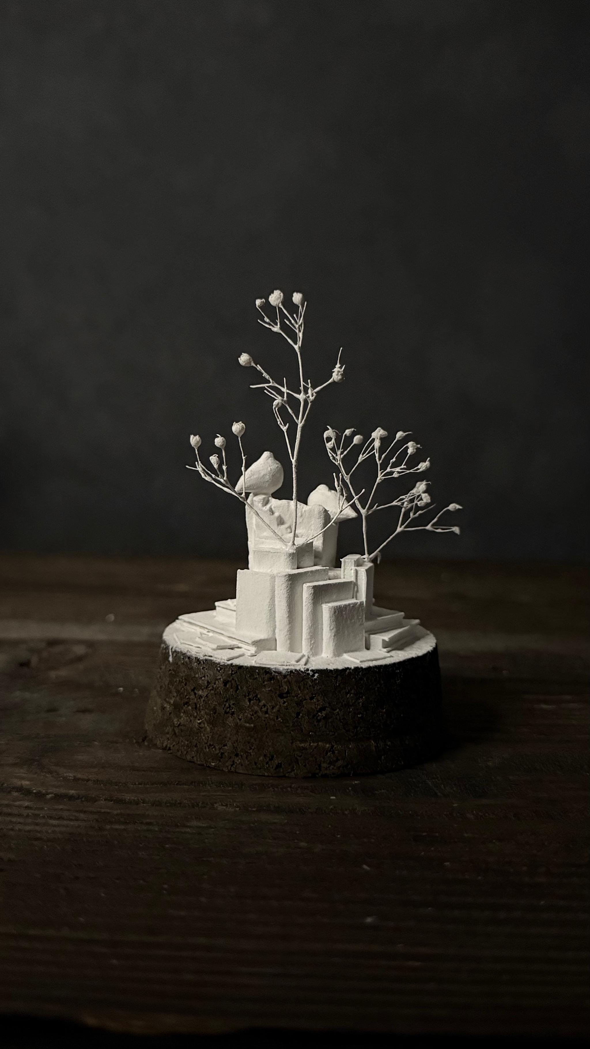 bird no.3 【Sculpture】 | 7枚目