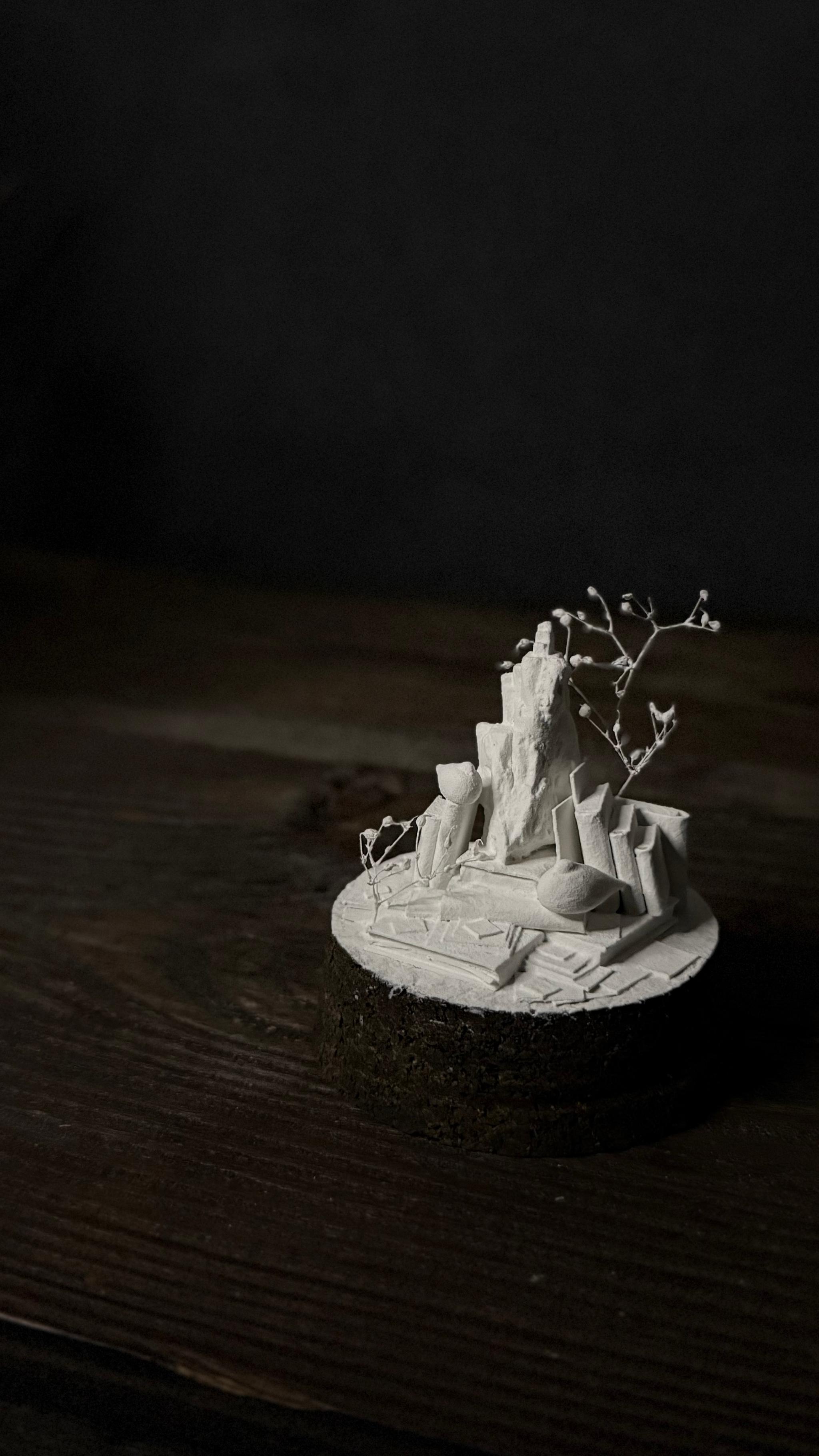 bird no.5 【Sculpture】 | 5枚目