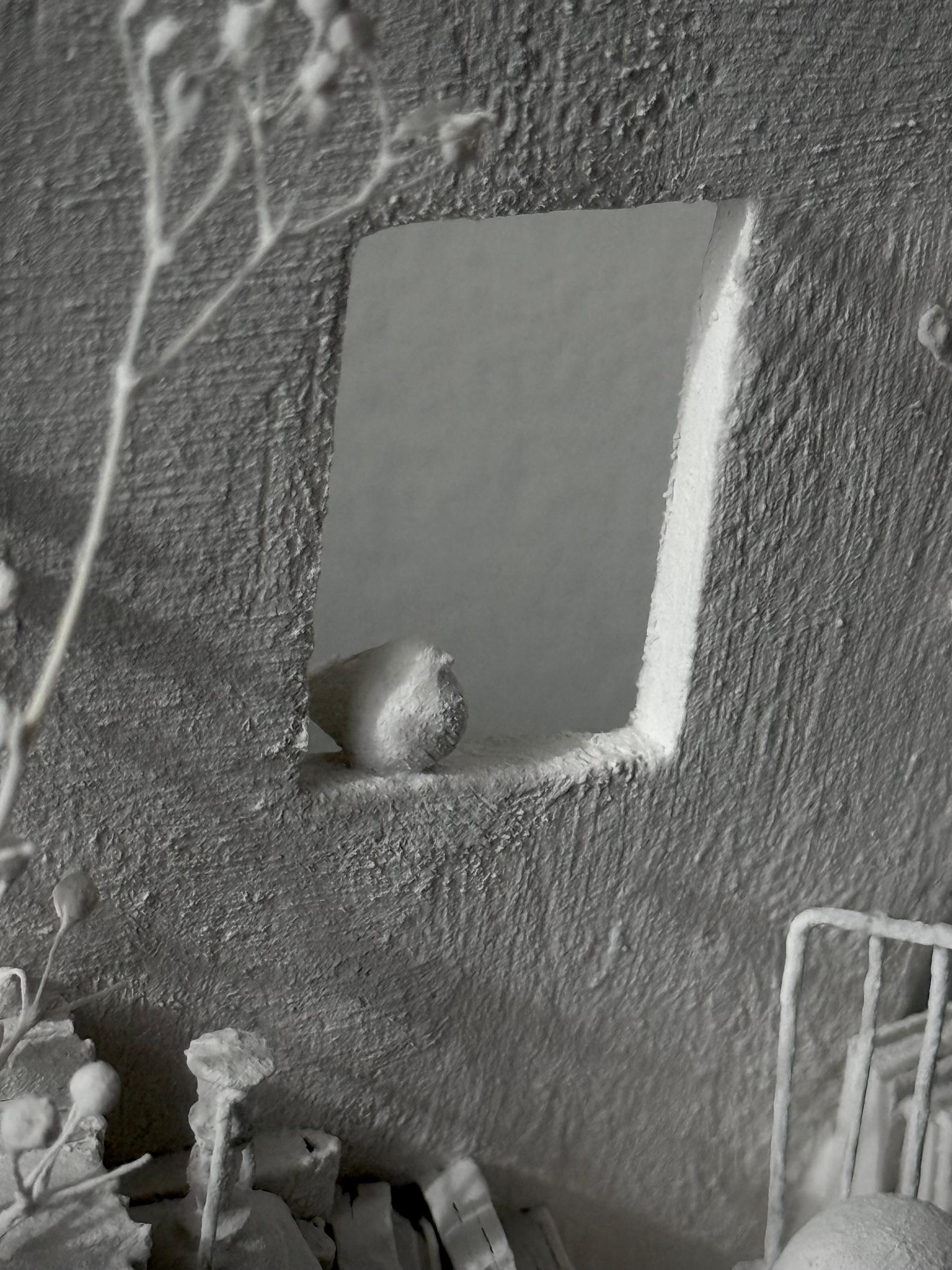 鳥と羊と | 11枚目