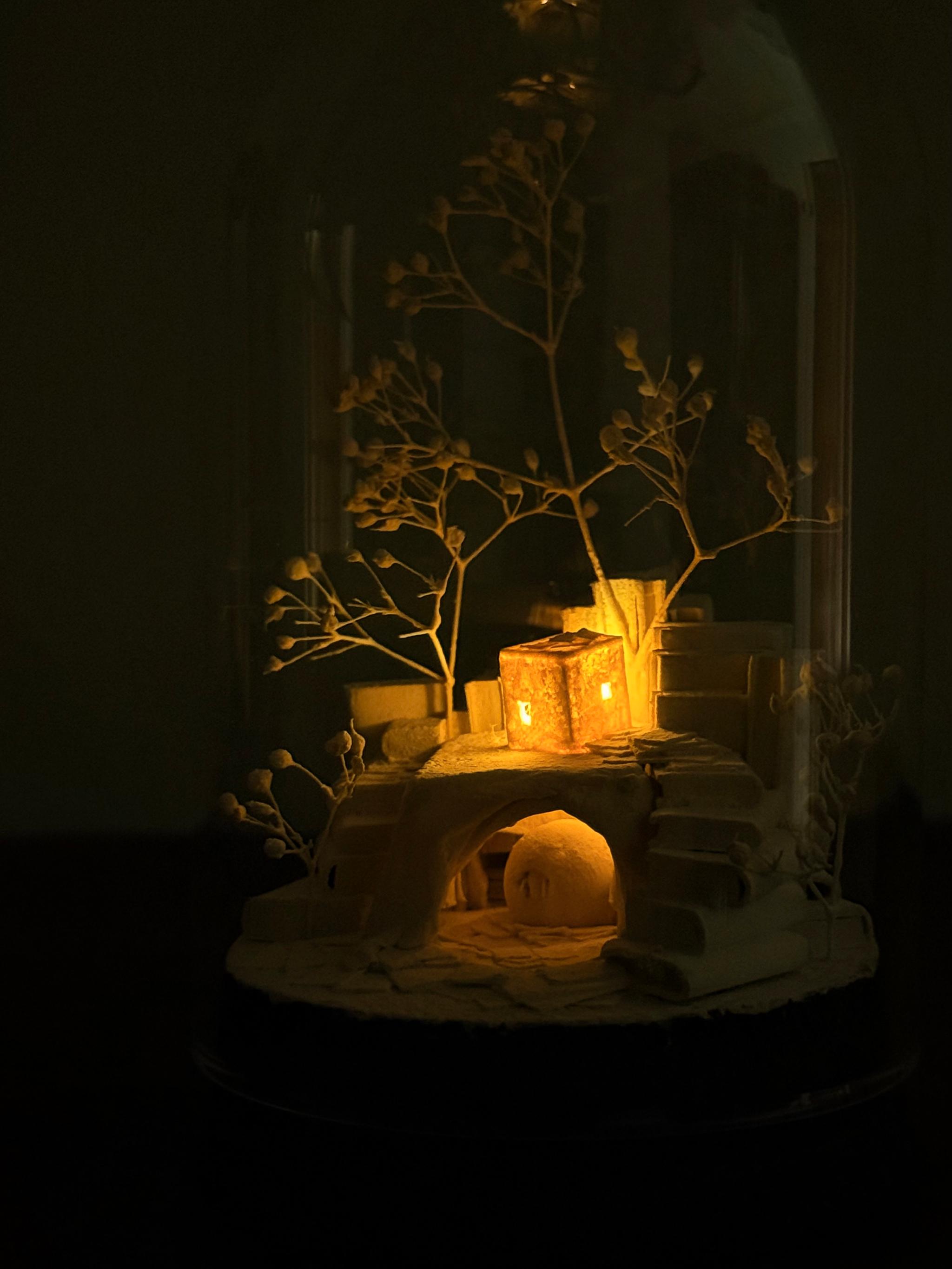 羊の棲家 | 6枚目