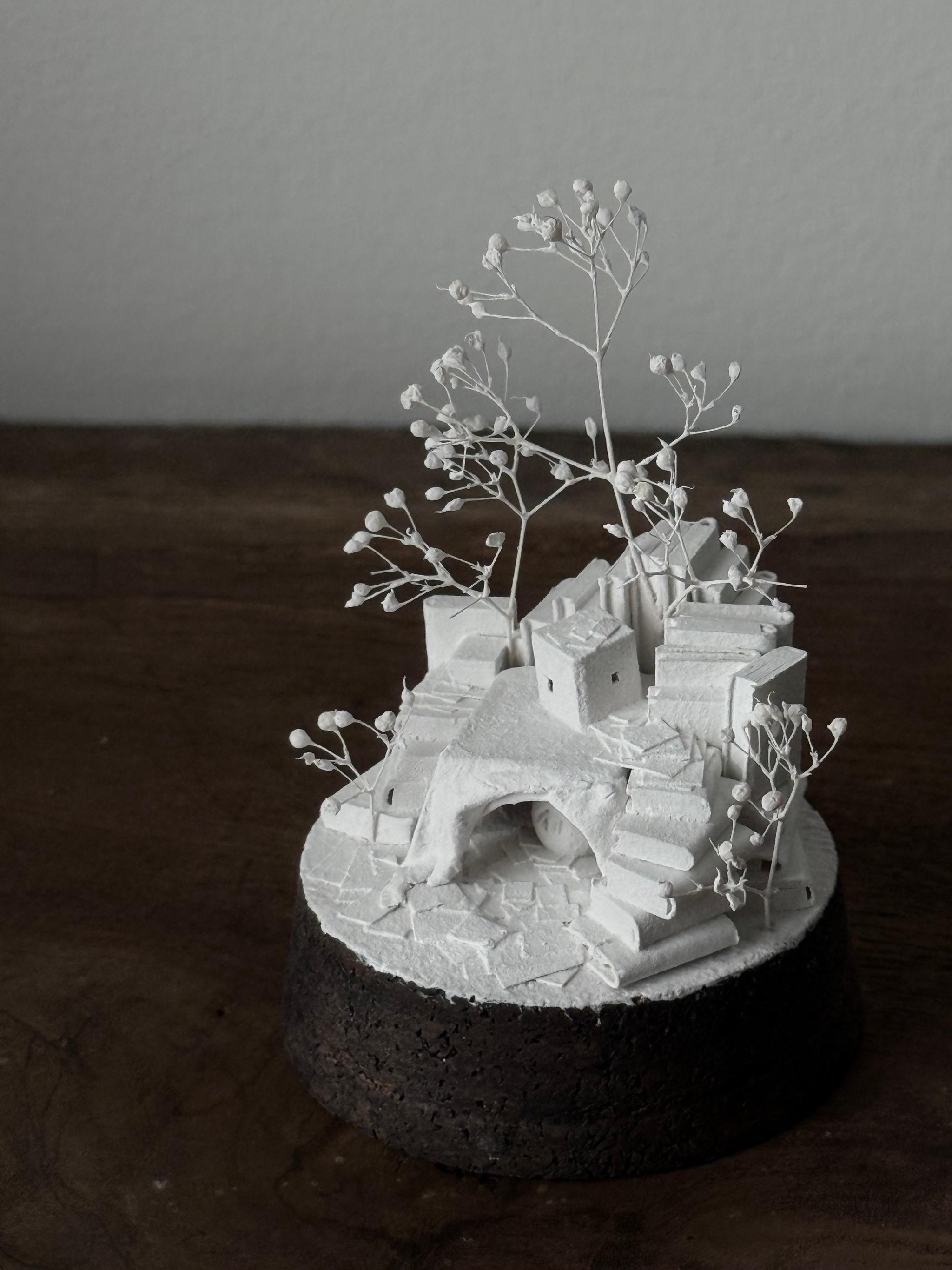 羊の棲家 | 15枚目