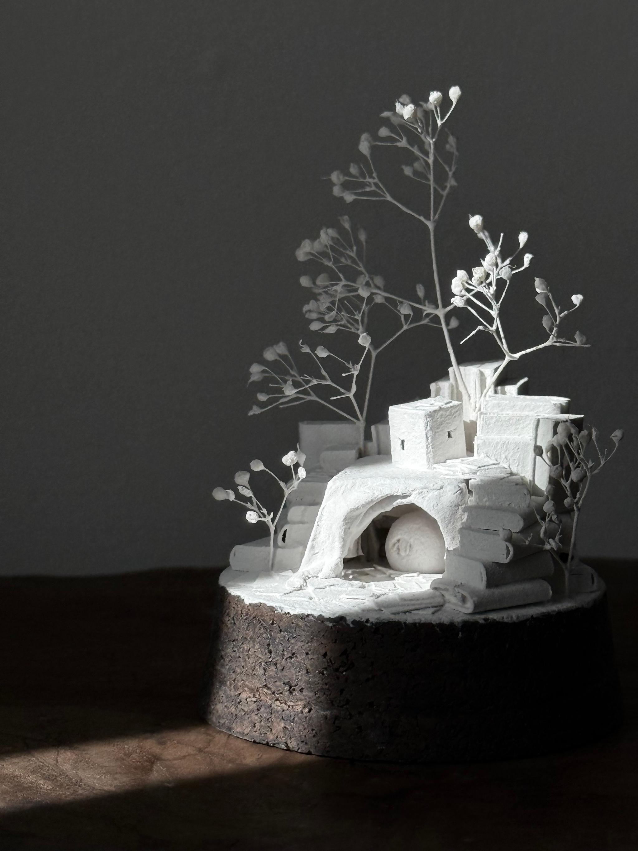 羊の棲家 | 12枚目