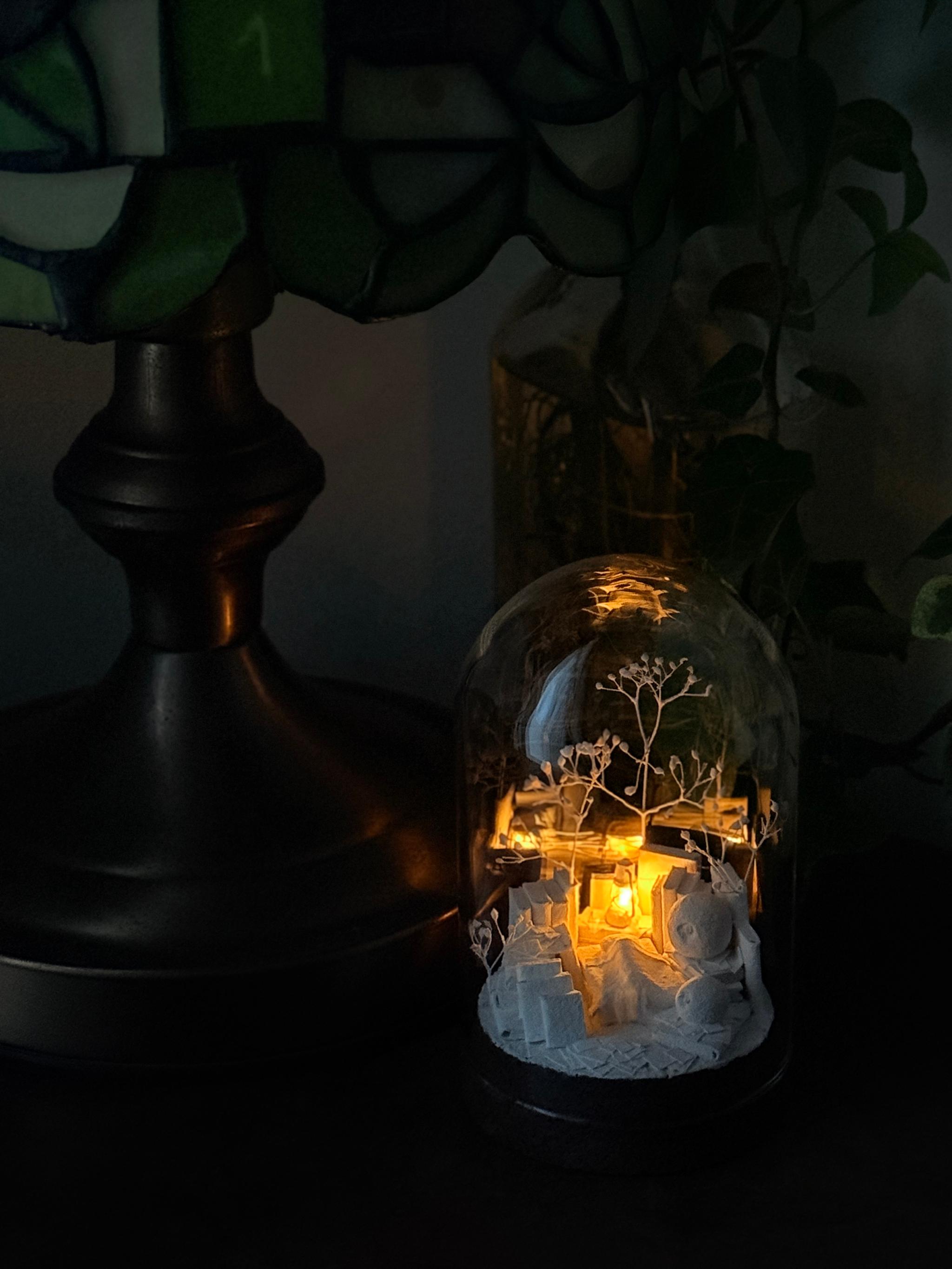 羊の眠り | 10枚目