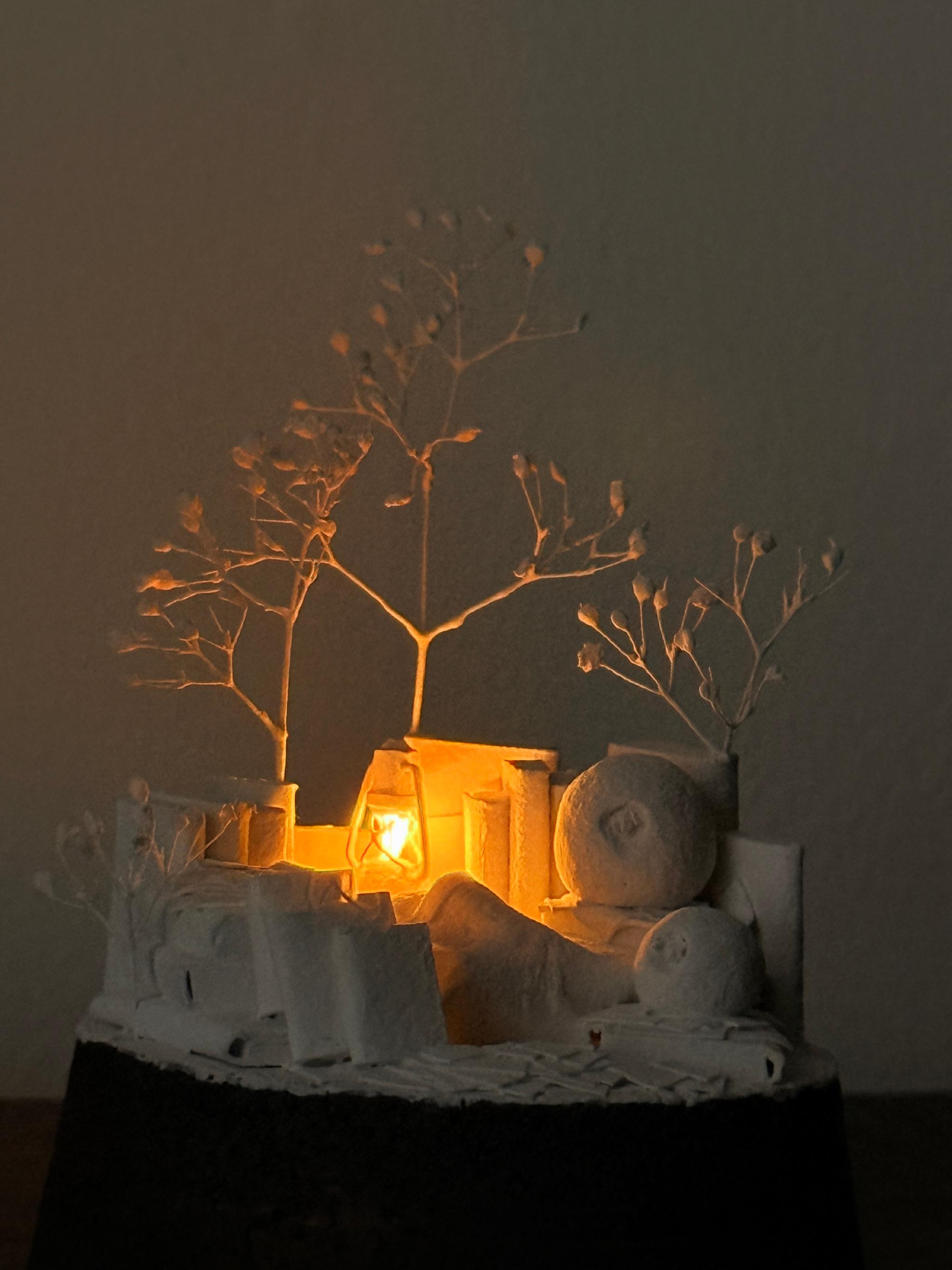 羊の眠り | 4枚目