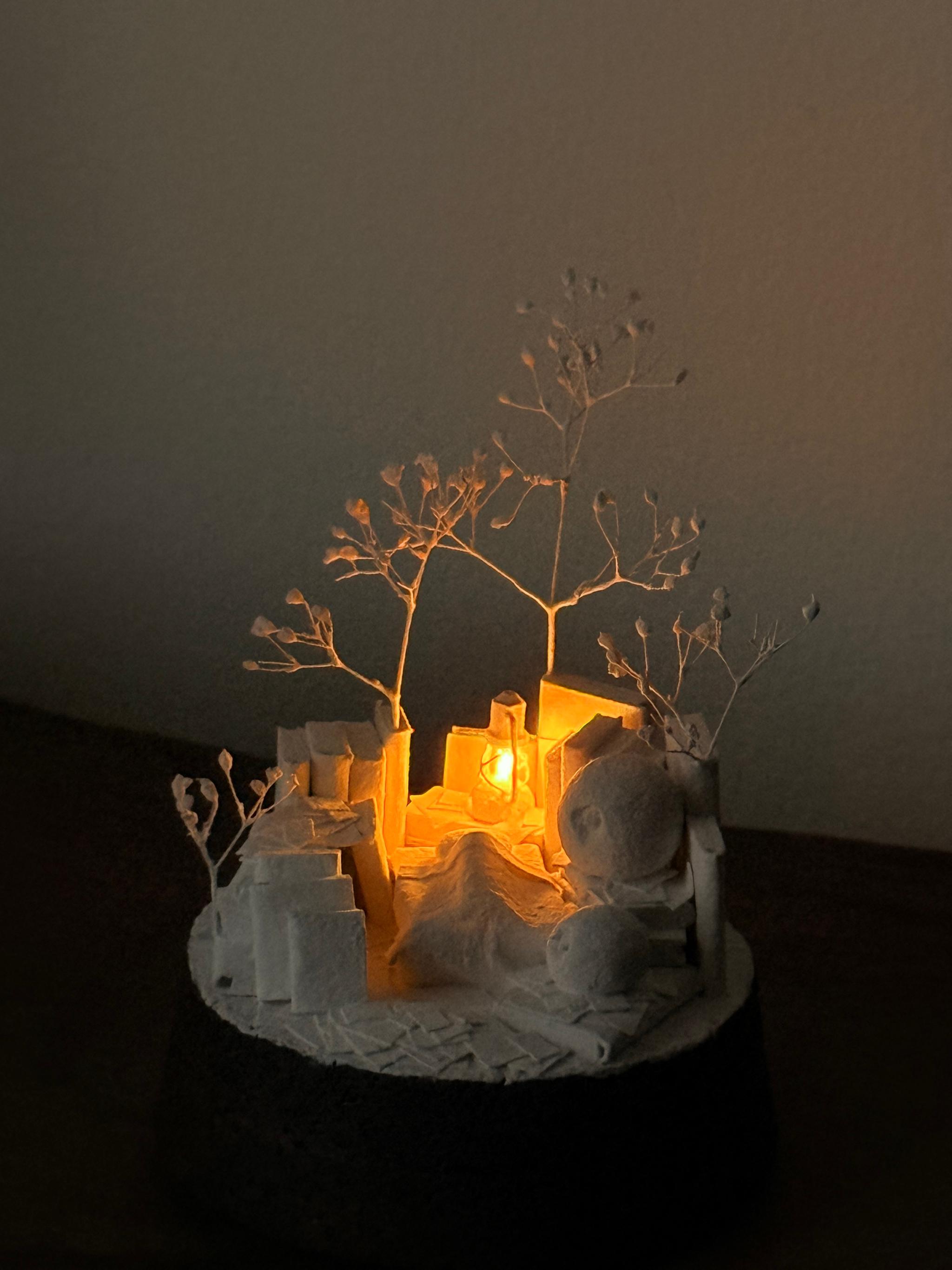 羊の眠り | 6枚目