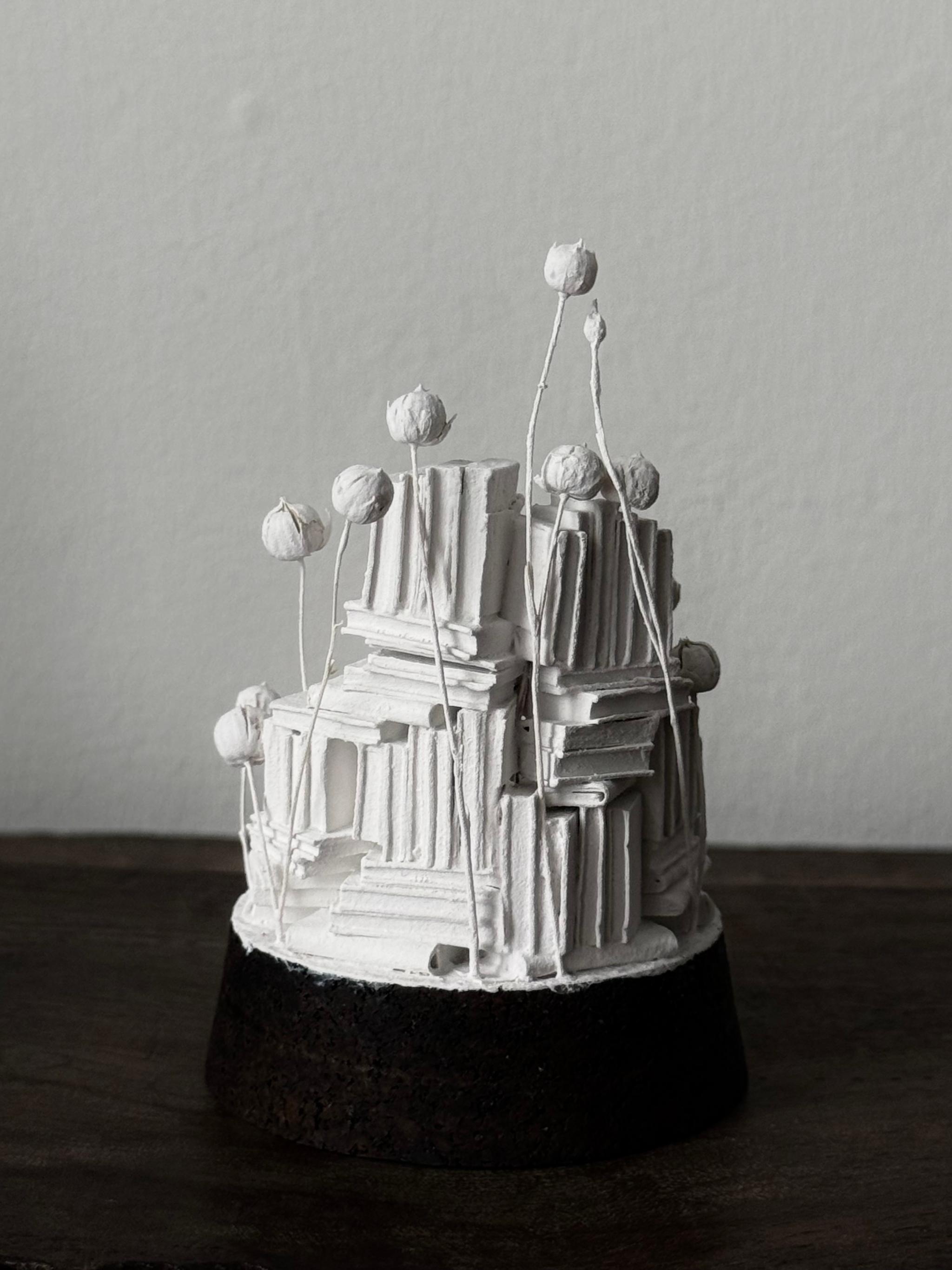 揺らぎのなかで | 13枚目