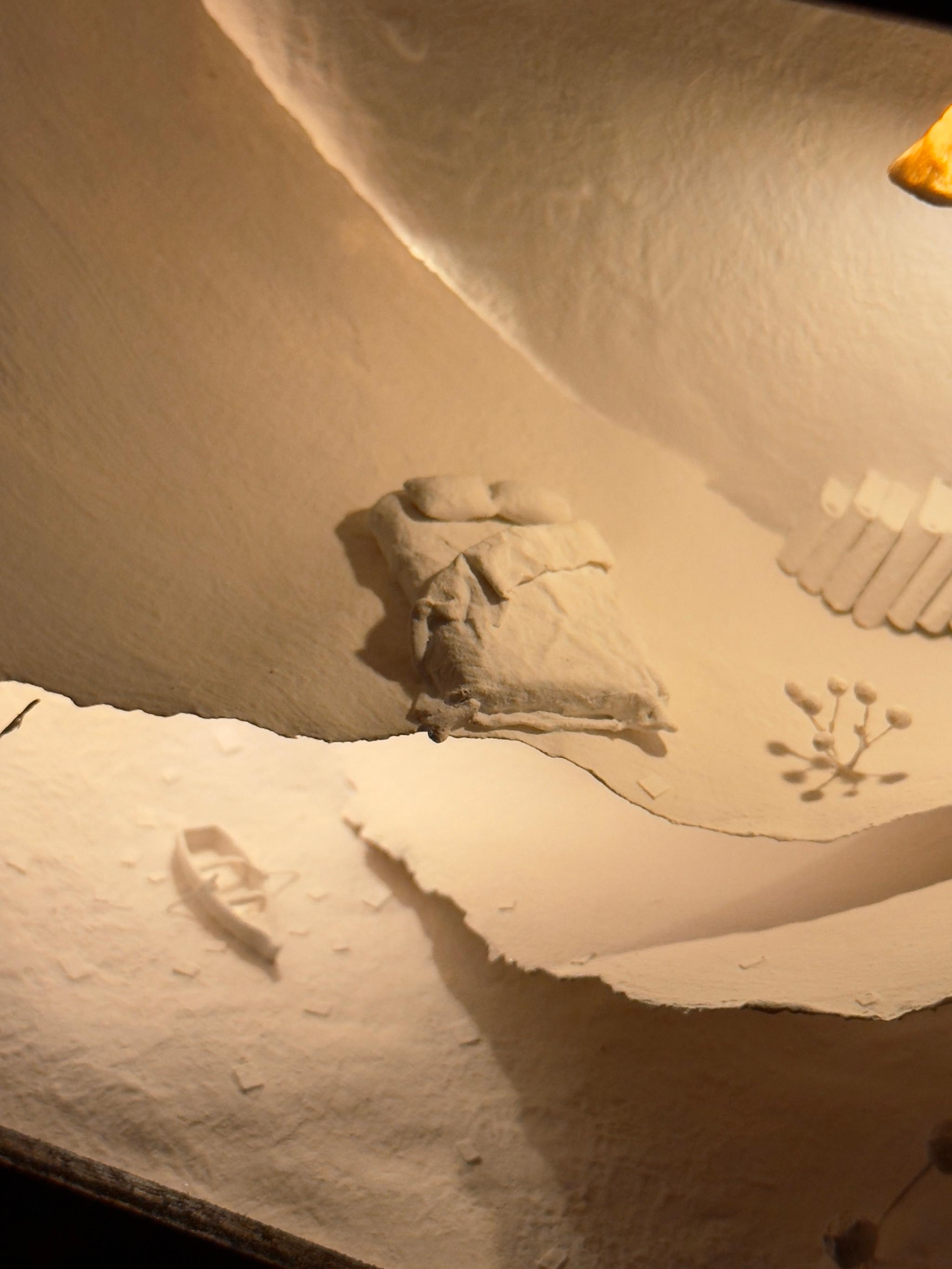 ゆらゆら1枚目の画像