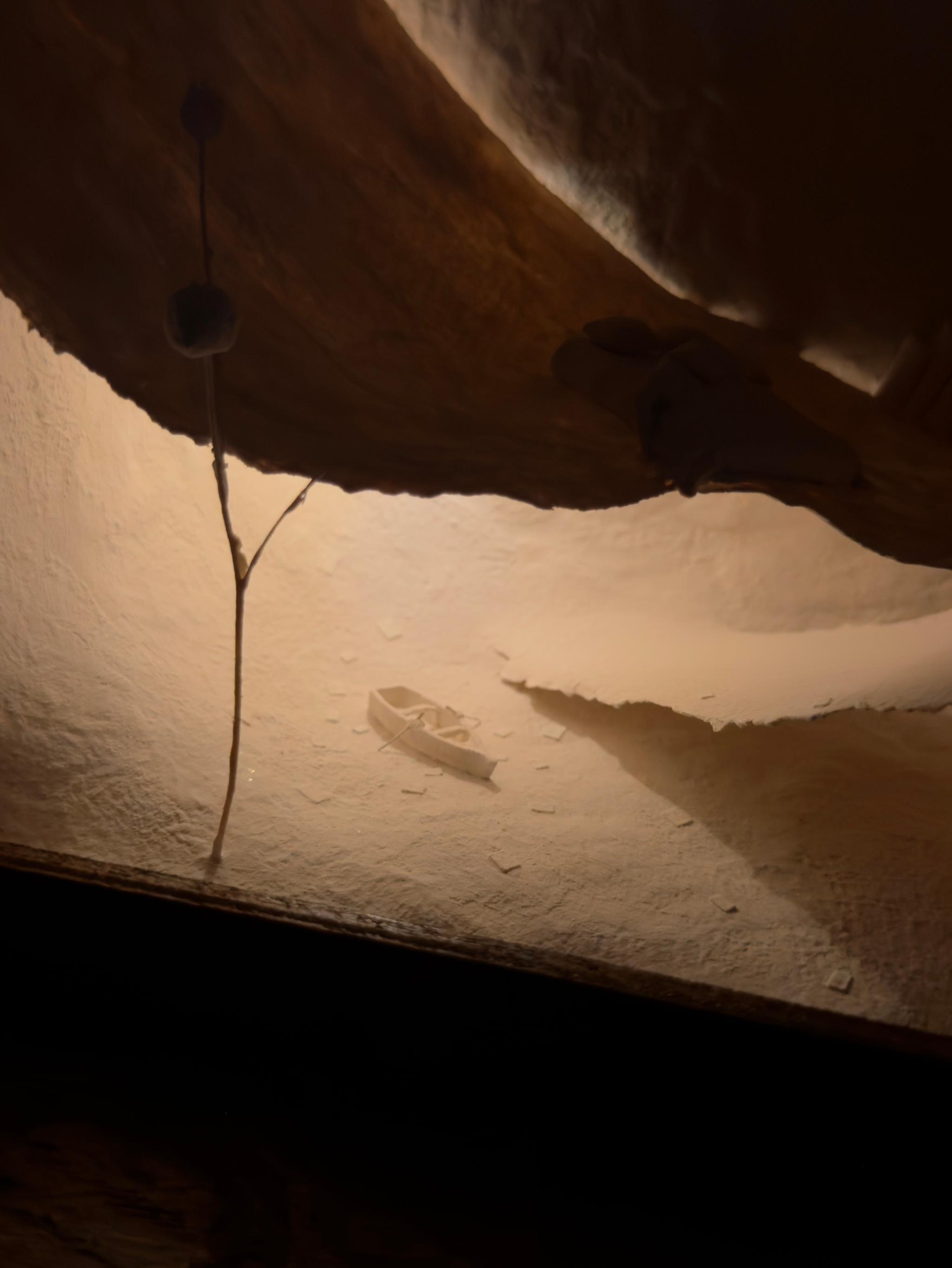 ゆらゆら | 13枚目