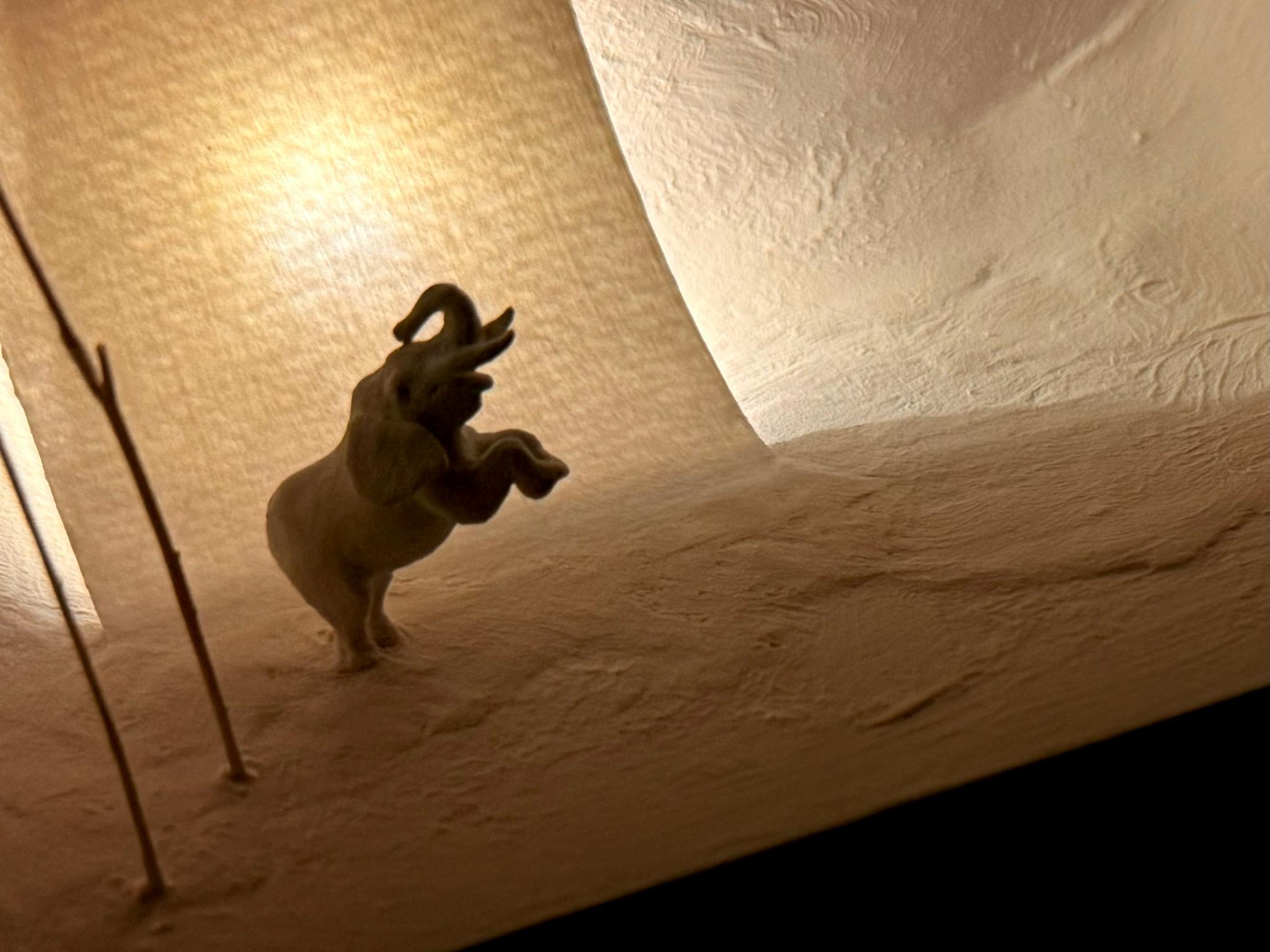 象と泳ぐ1枚目の画像