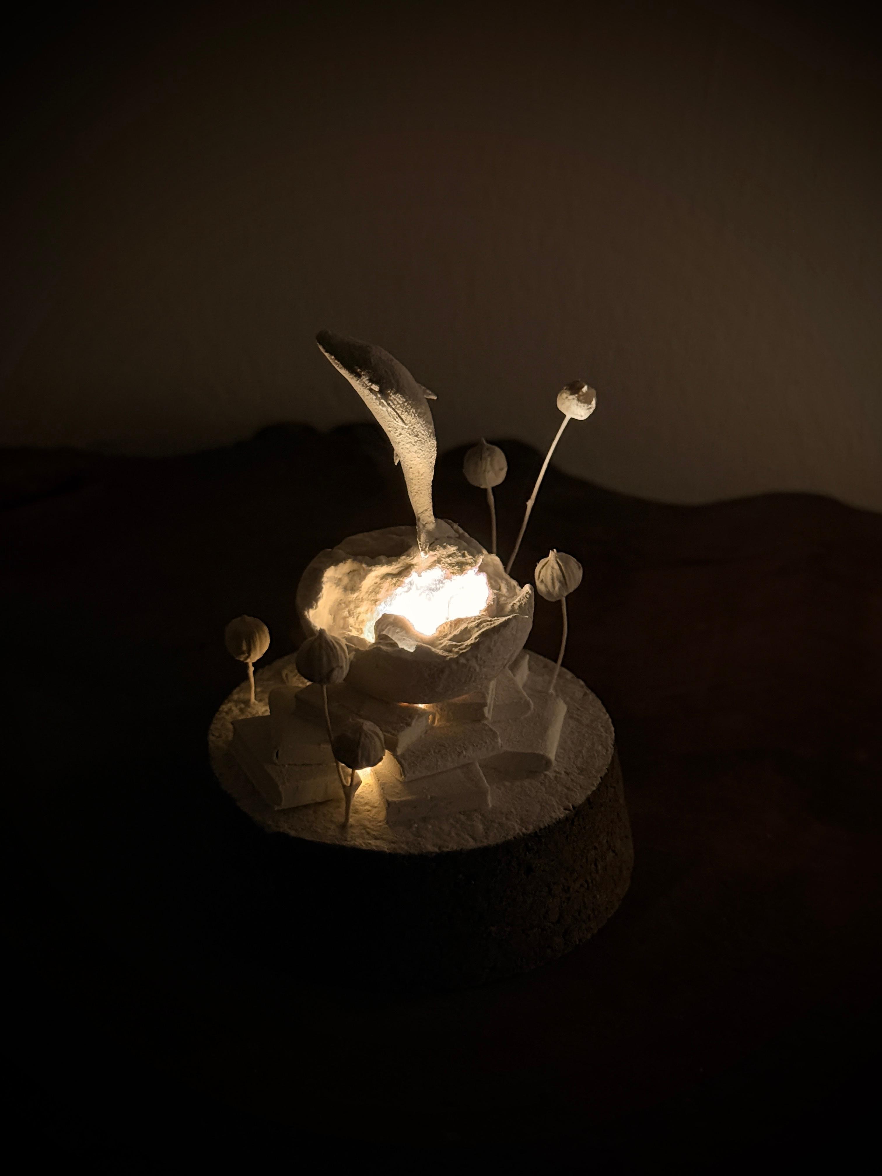 記憶の棲家　くじら