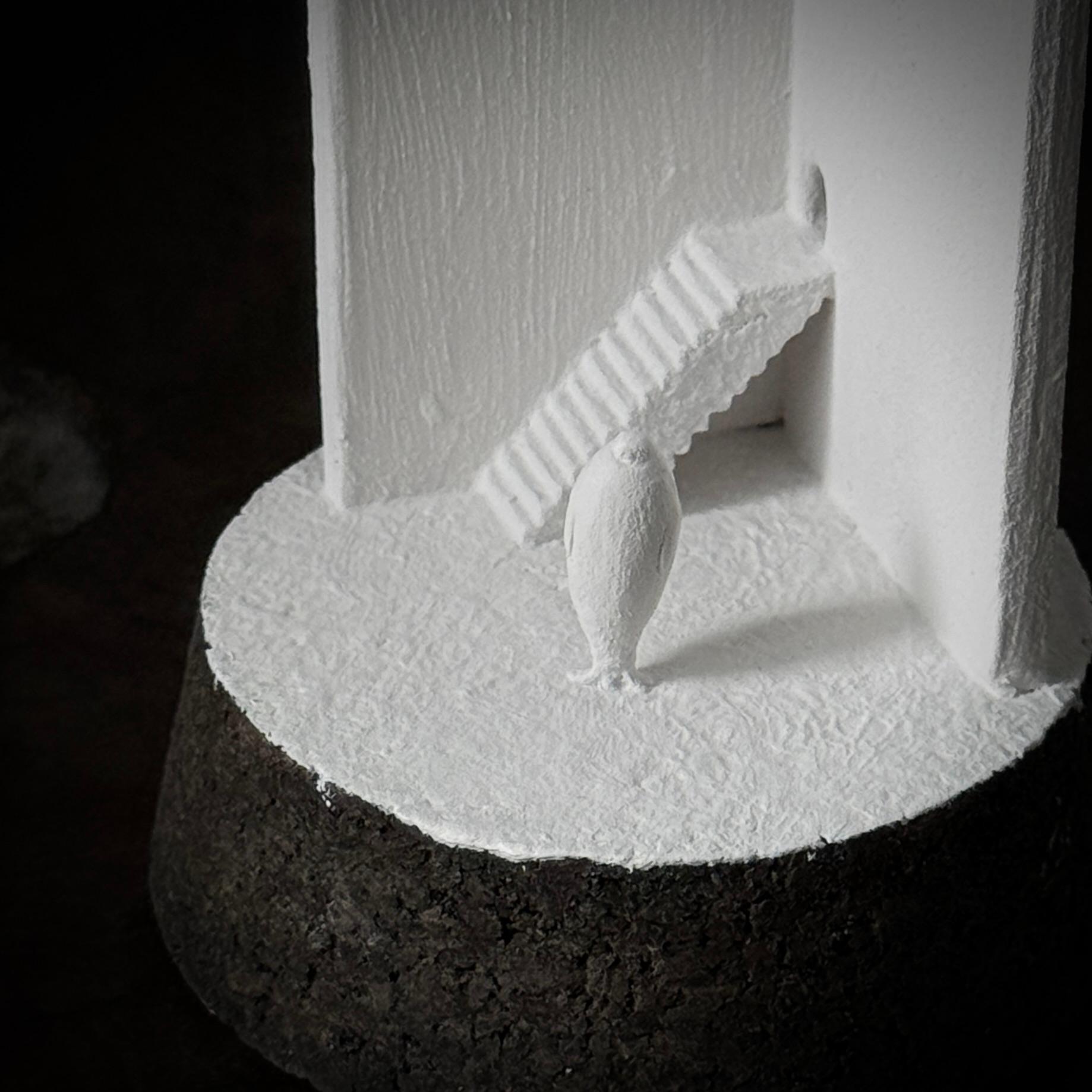 記憶の棲家　アザラシ1枚目の画像