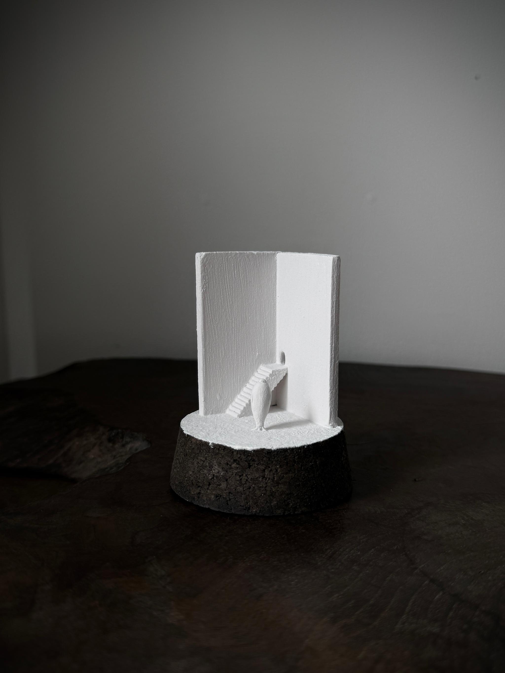 記憶の棲家　アザラシ | 2枚目