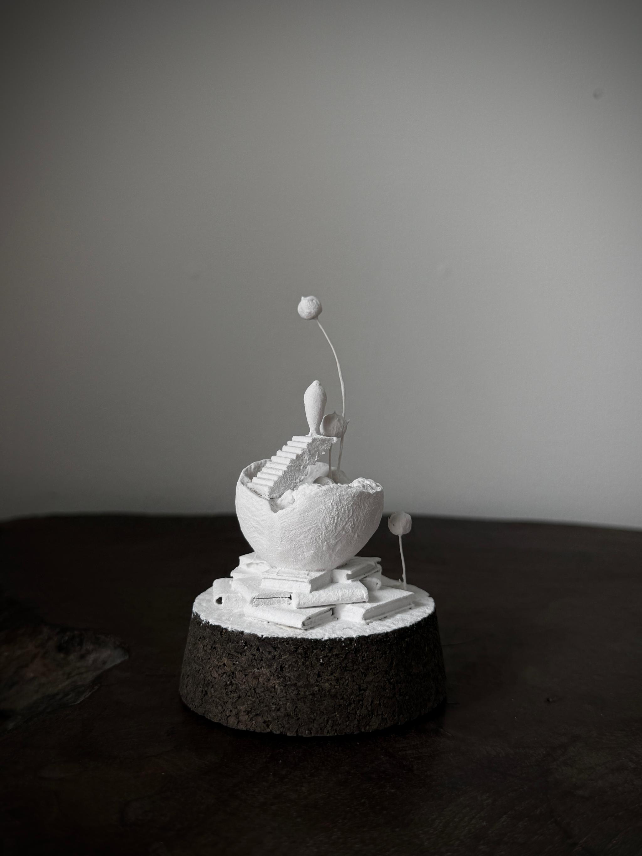 記憶の棲家　アザラシ　2 | 2枚目