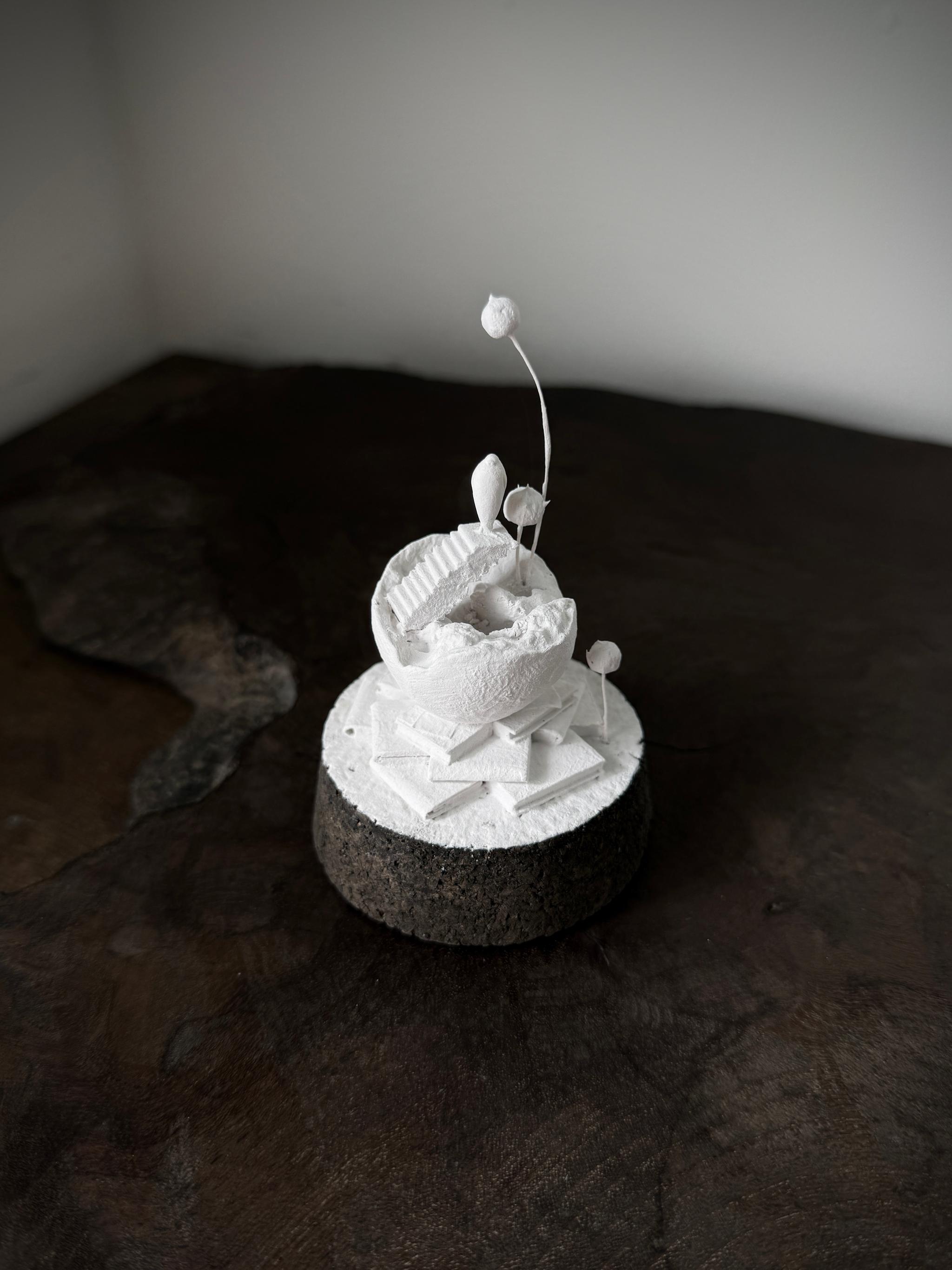 記憶の棲家　アザラシ　2 | 3枚目